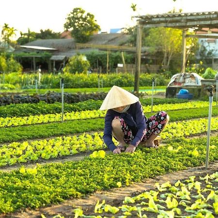 Hoi An Cabbage Garden Διαμέρισμα Εξωτερικό φωτογραφία