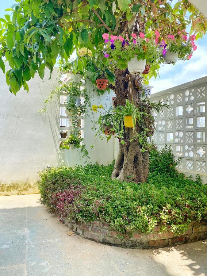 Hoi An Cabbage Garden Διαμέρισμα Εξωτερικό φωτογραφία